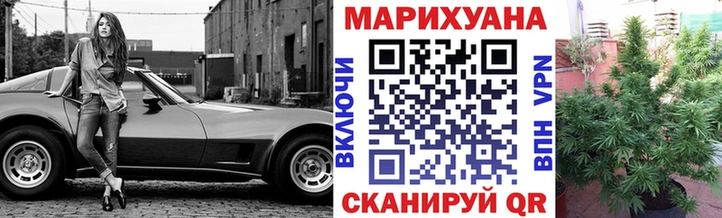 Где можно купить наркотики Изобильный мега ссылки  Галлюциногенные грибы  ГАШ  Канабис  Меф мяу мяу  Амфетамин 