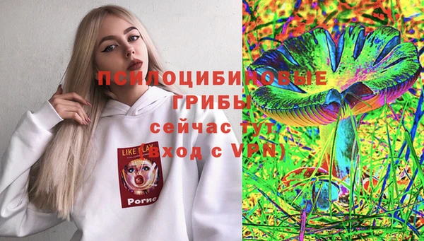 индика Алзамай